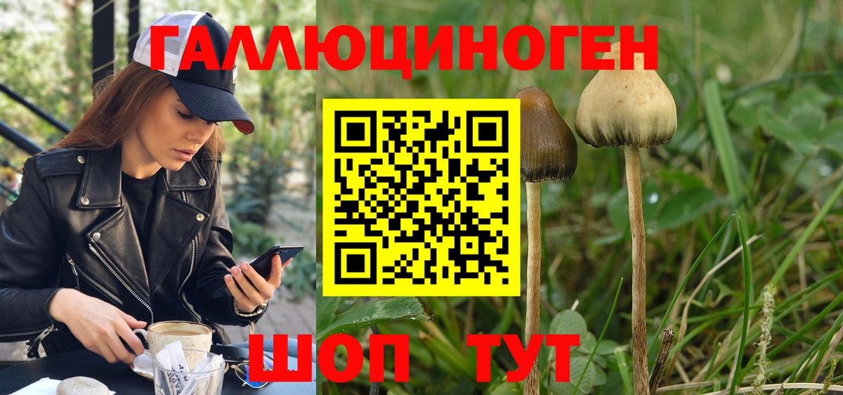 Псилоцибиновые грибы Magic Shrooms Хабаровск