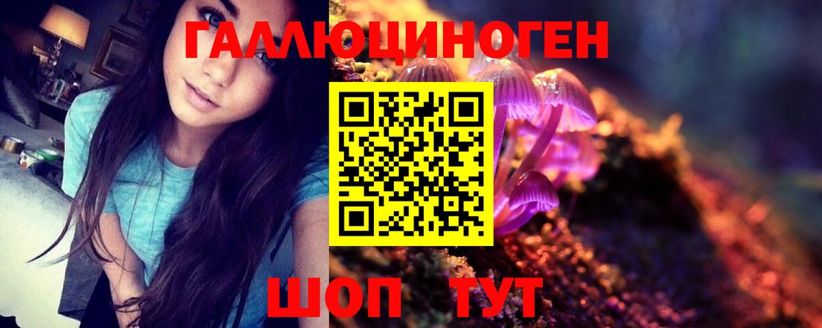 Хабаровск  Галлюциногенные грибы Cubensis  дарнет шоп  Вход с VPN 